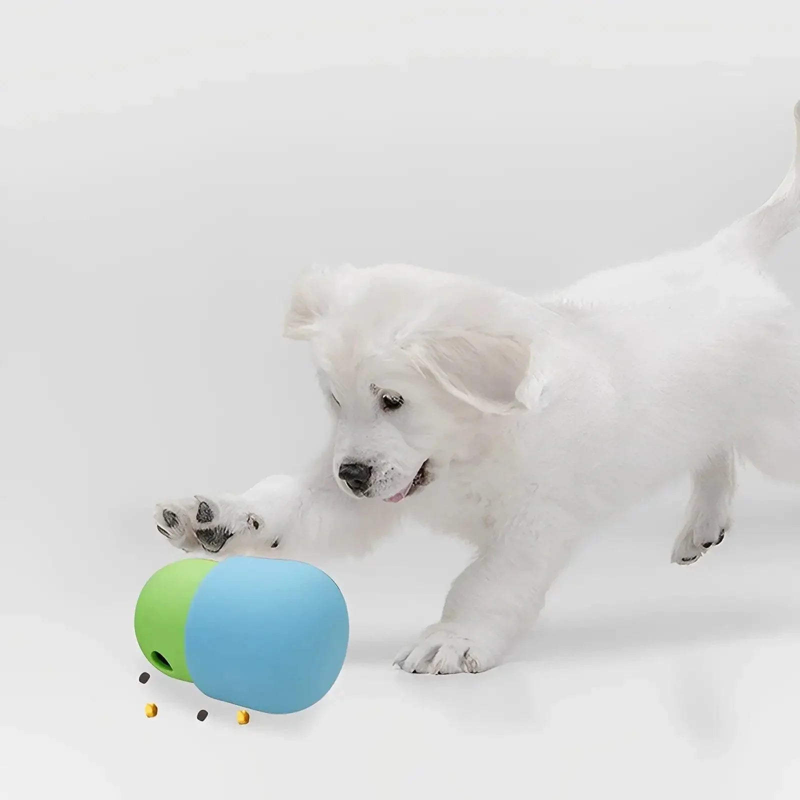 Jouet pour animaux de compagnie