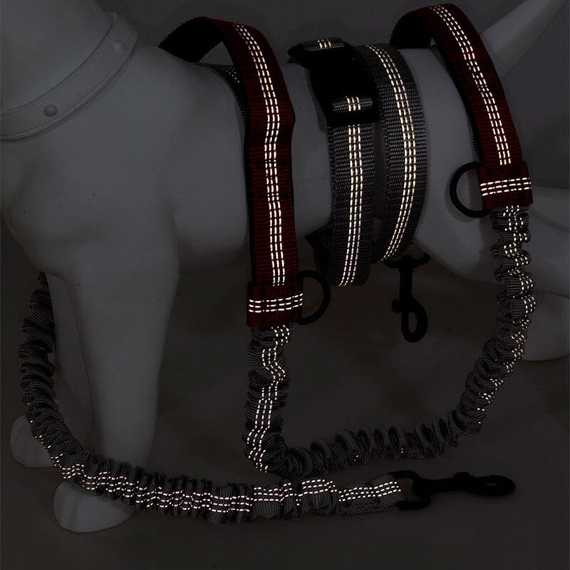 Laisse pour chien mains libres