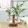 Vases transparents pour plantes hydroponiques