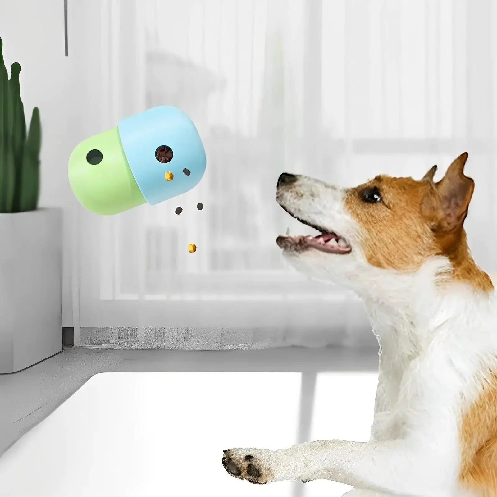 Jouet pour animaux de compagnie