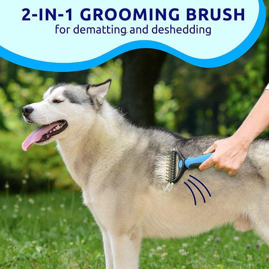 Brosse de toilettage professionnelle pour chiens et chats