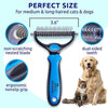Brosse de toilettage professionnelle pour chiens et chats