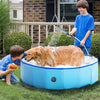 Accessoire de douche pour chien