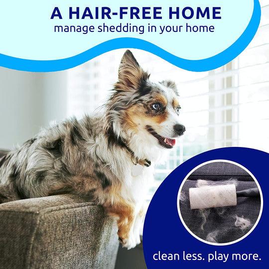 Brosse de toilettage professionnelle pour chiens et chats