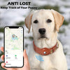 Collier anti-perte en cuir pour chien