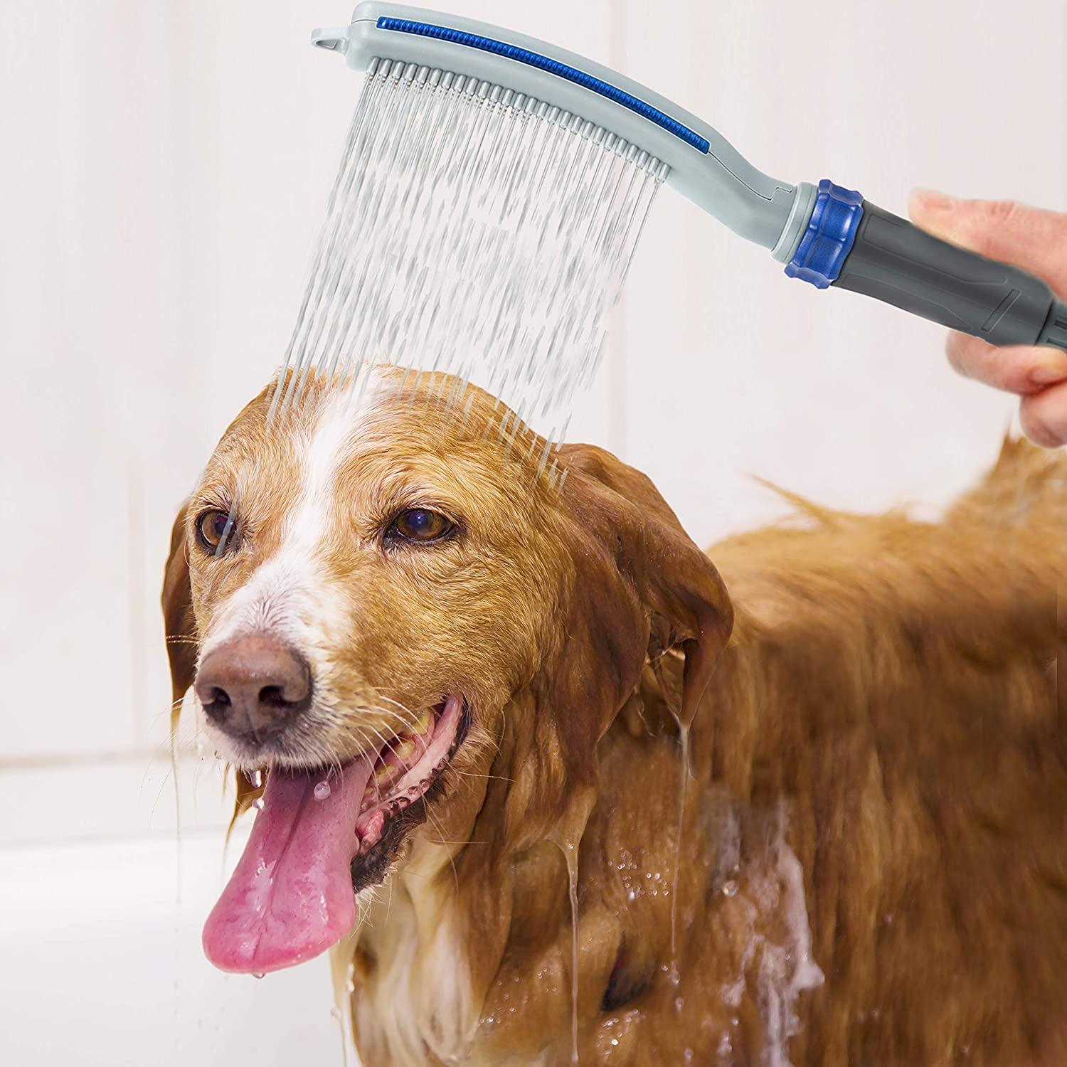 Accessoire de douche pour chien