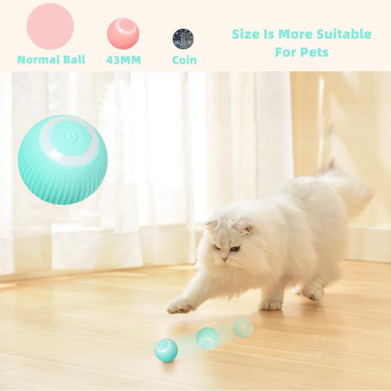 Jouets intelligents pour chat