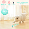 Jouets intelligents pour chat