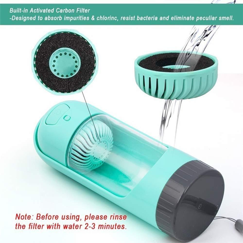 Bouteille d'eau portable pour chien