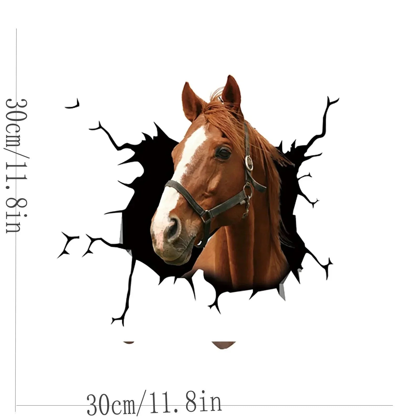 Autocollant de fenêtre de voiture à cheval
