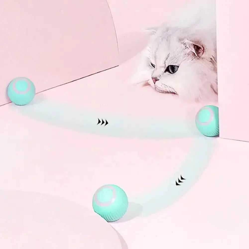 Jouets intelligents interactifs rechargeables