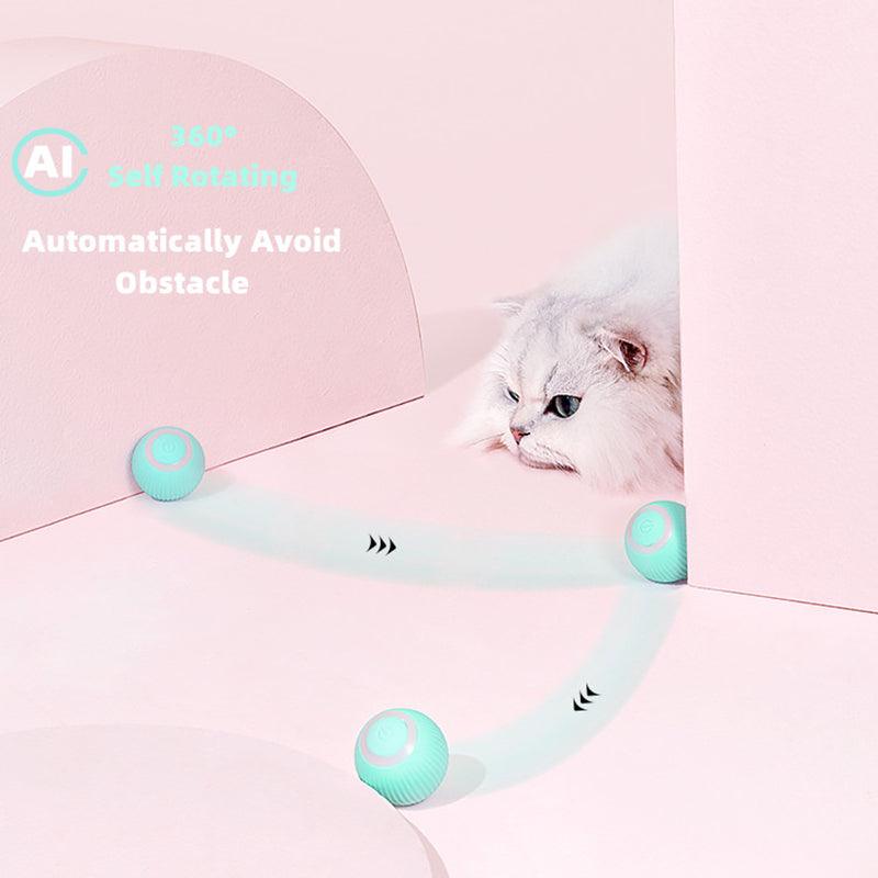 Jouets intelligents pour chat