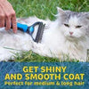 Brosse de toilettage professionnelle pour chiens et chats
