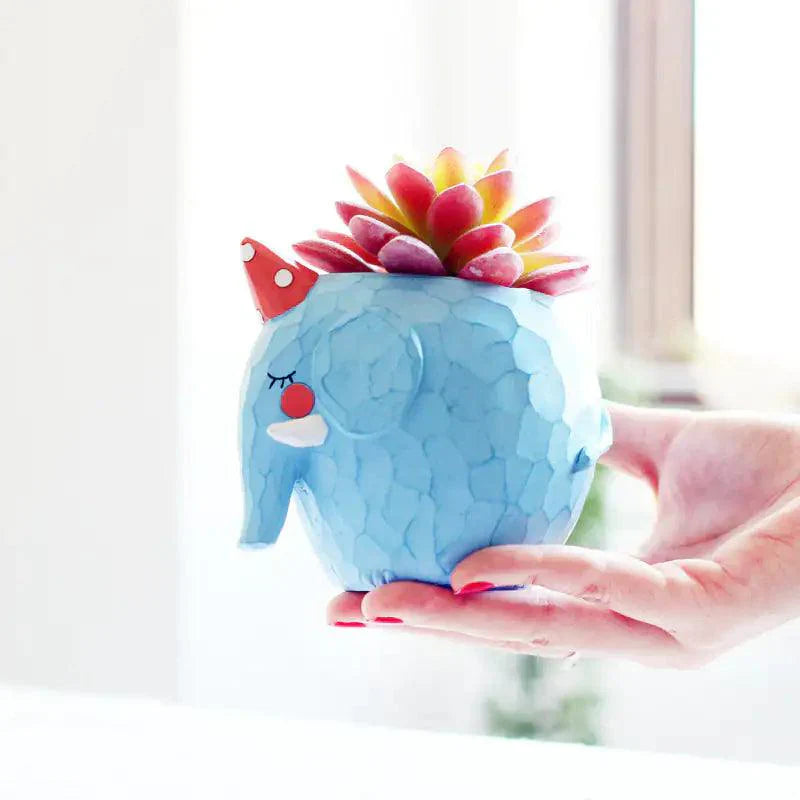 Jardinière pour plantes succulentes en forme d'animaux