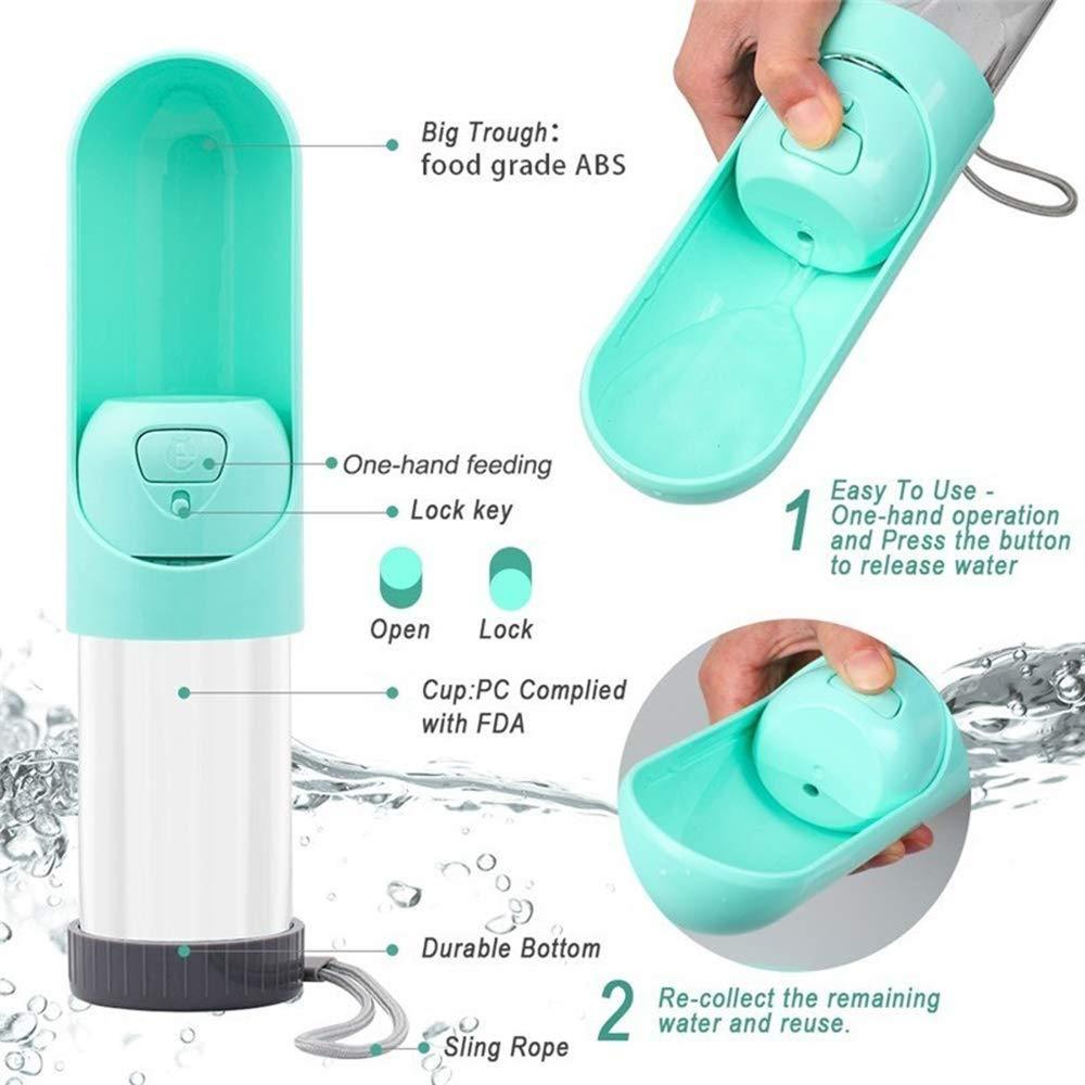 Bouteille d'eau portable pour chien