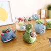 Jardinière pour plantes succulentes en forme d'animaux