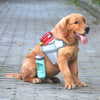 Bouteille d'eau portable pour chien