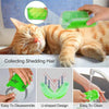 Peigne de toilettage pour animaux de compagnie