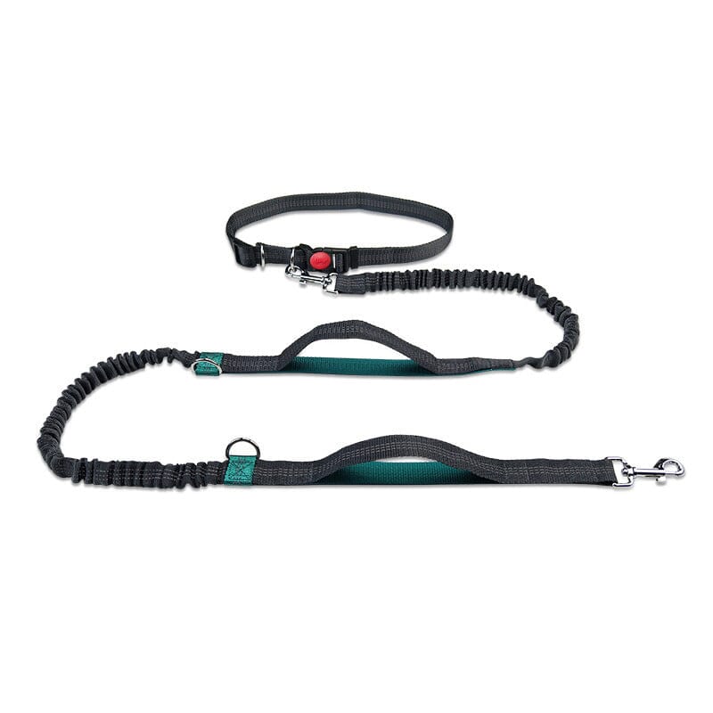 Laisse pour chien mains libres