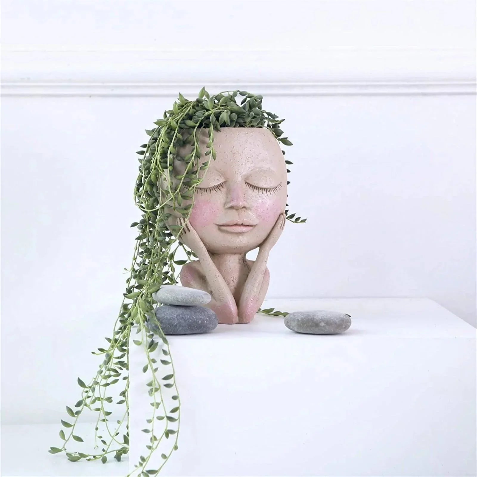 Jardinière à fleurs en forme de tête de fille, succulente