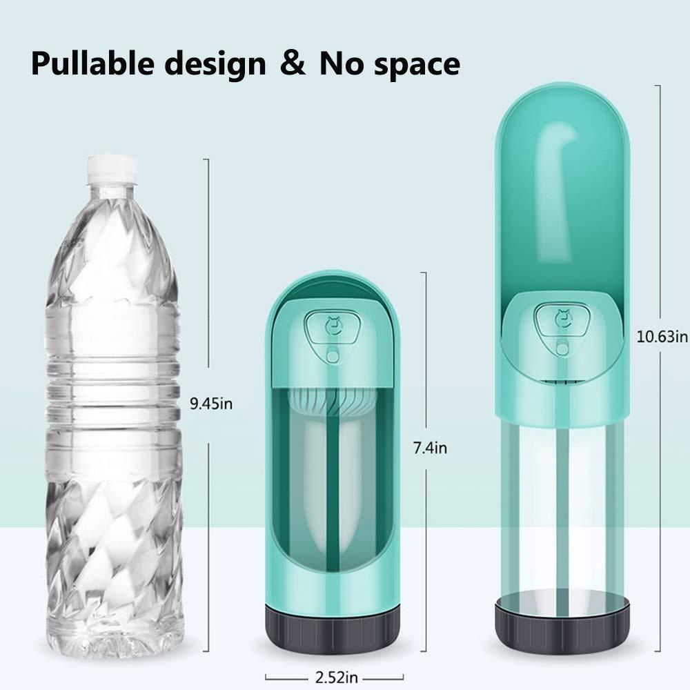 Bouteille d'eau portable pour chien