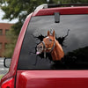 Autocollant de fenêtre de voiture à cheval