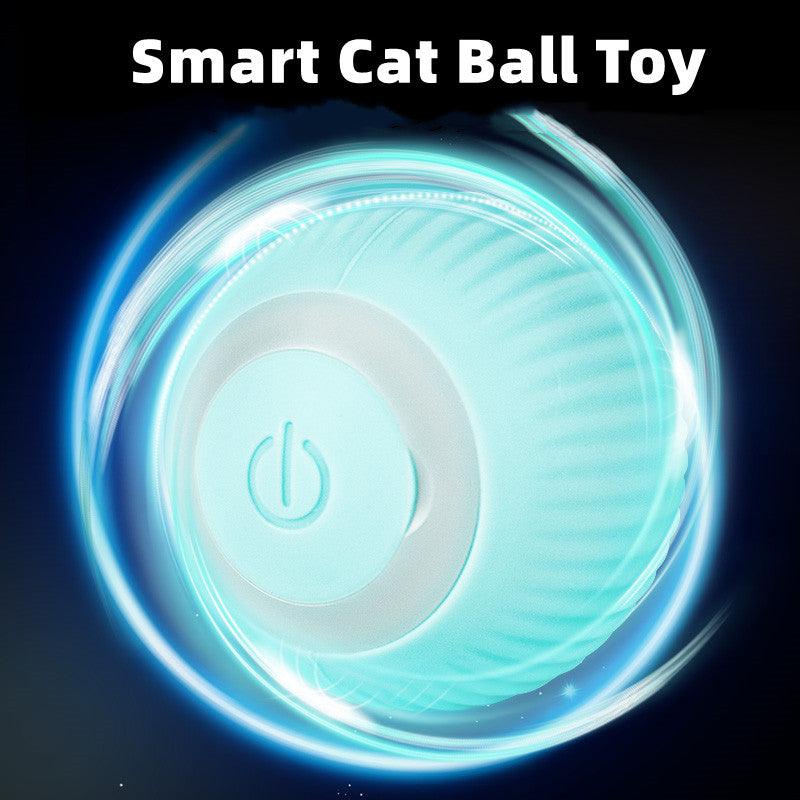 Jouets intelligents pour chat