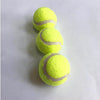 Lanceur de tennis pour chien